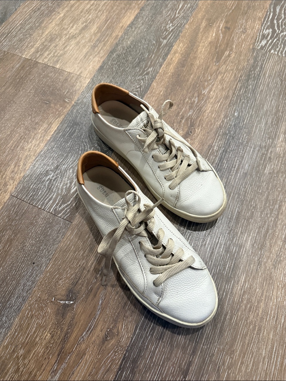 Women's Casual Leather Sneakers in Off-White with Tan Heel